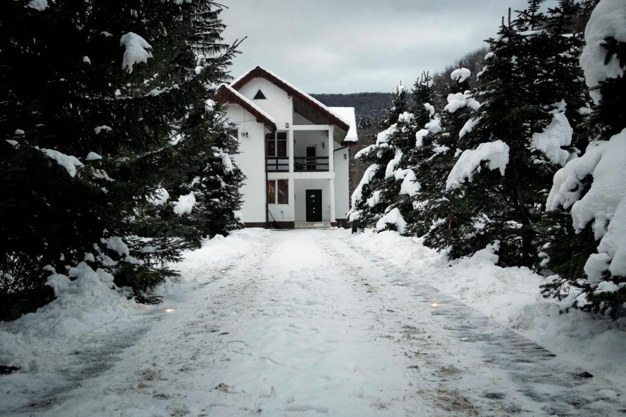 Privilegio 148 Sambata Sîmbăta de Sus Exterior foto