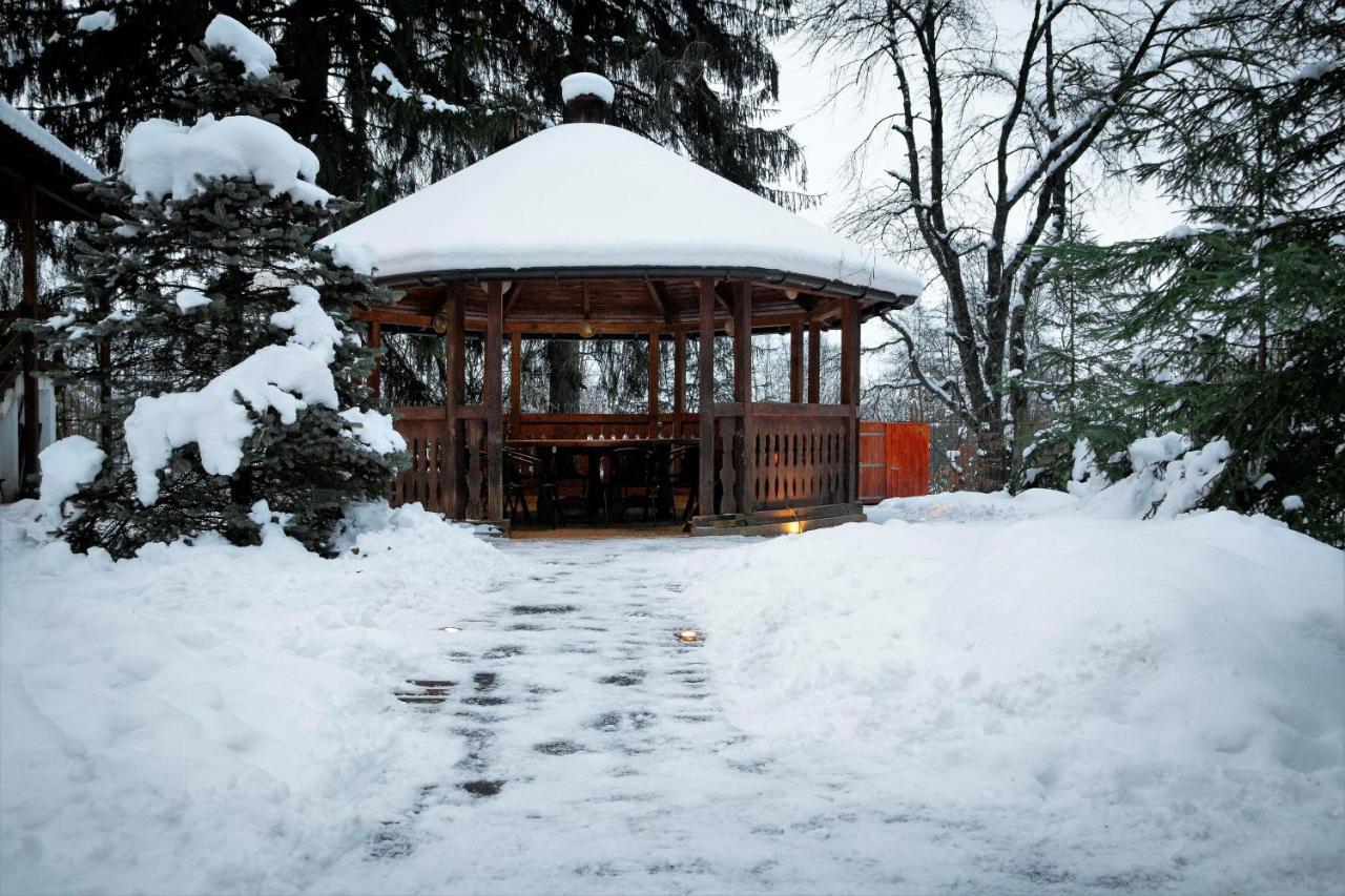 Privilegio 148 Sambata Sîmbăta de Sus Exterior foto