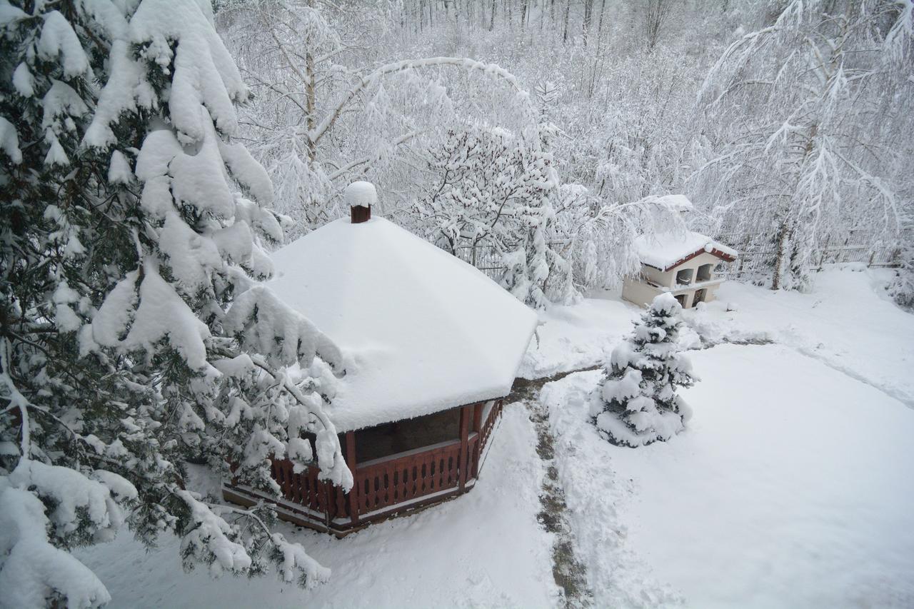Privilegio 148 Sambata Sîmbăta de Sus Exterior foto